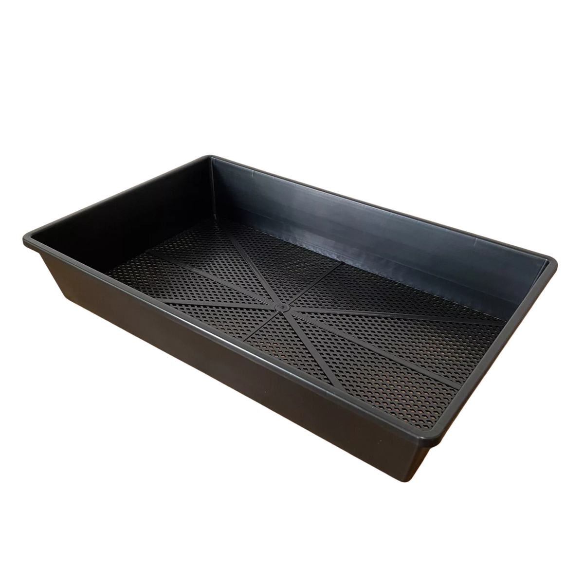 Propagation Tray With Holes - 48cm x 30cm