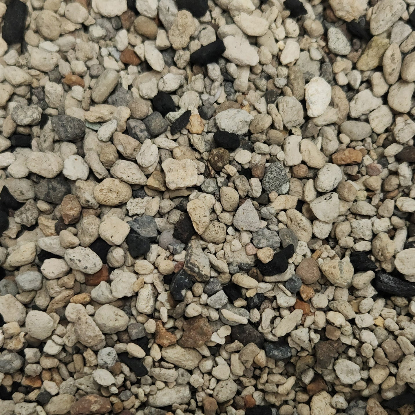 NZ Horticultural Pumice Stone for Plants