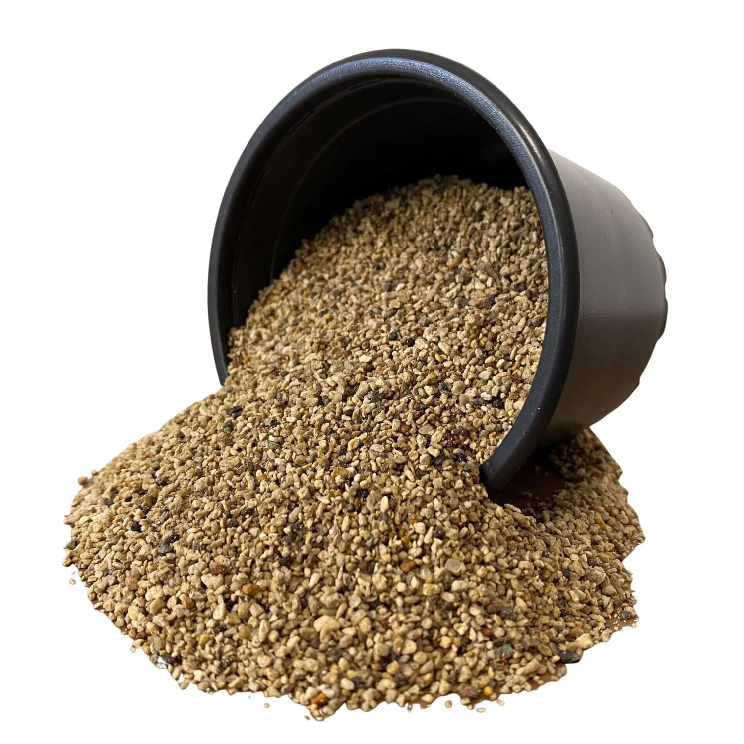 Pumice