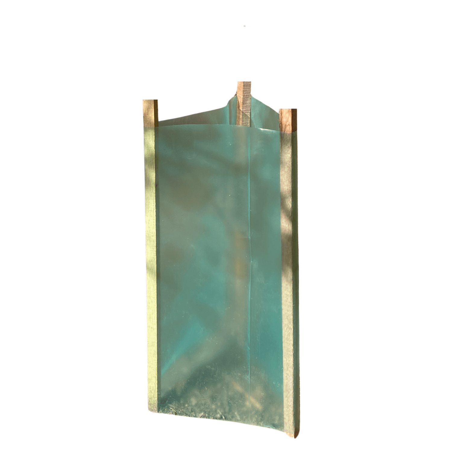 Plant Support & Protection