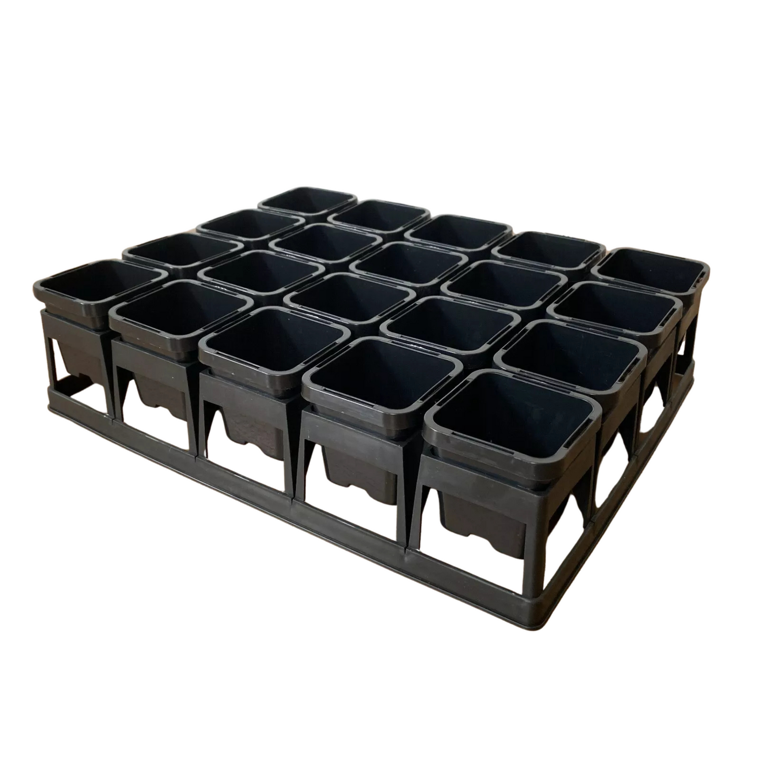 Succulent & Cactus - Pots and Trays