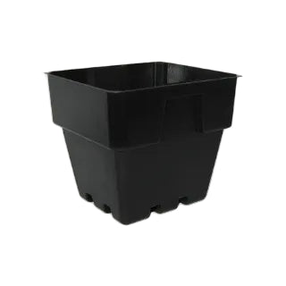 100mm Square Garden Punnets - 0.47L