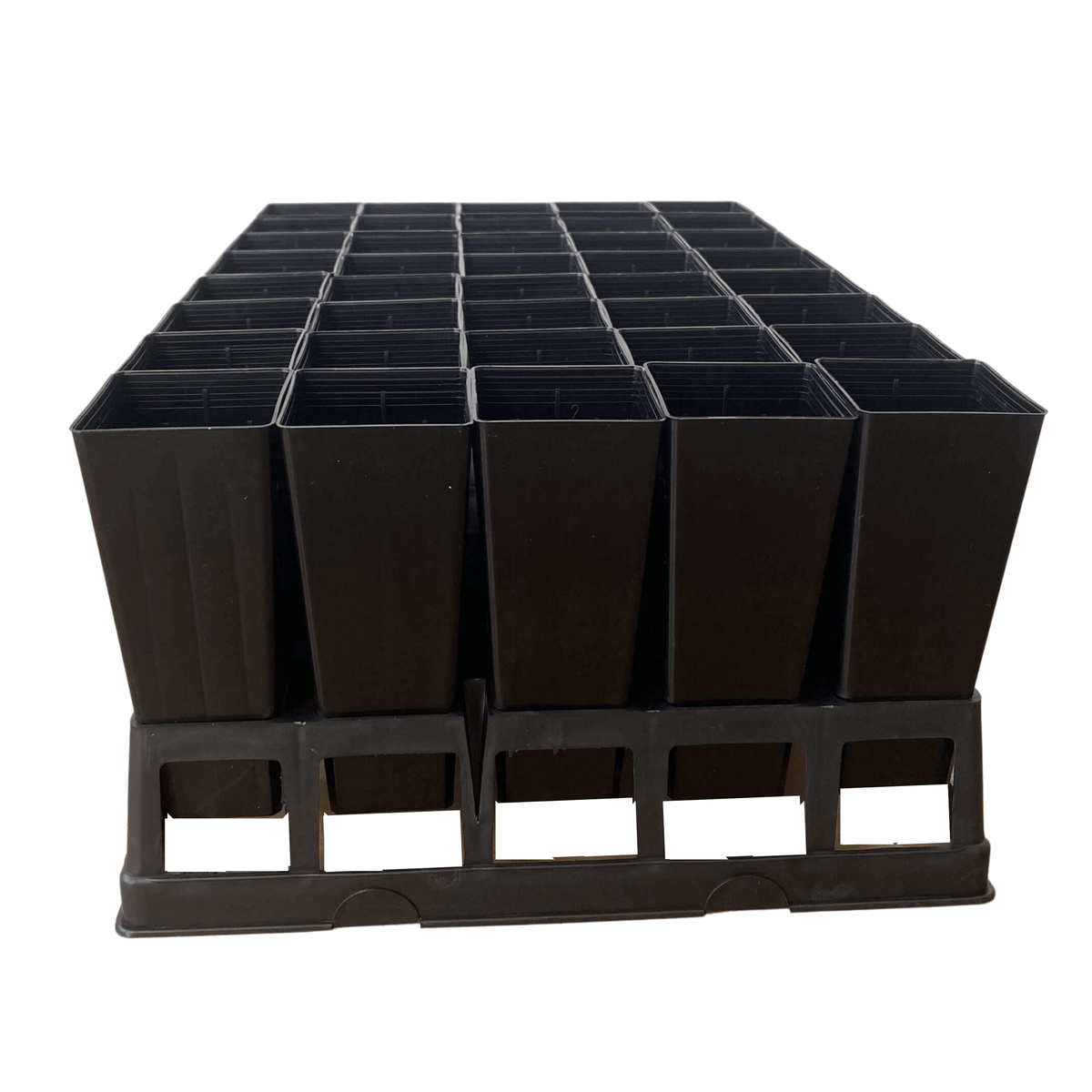 40-Cell Forestry Tube Tray with Pots | Australia – Harwood's Garden ...