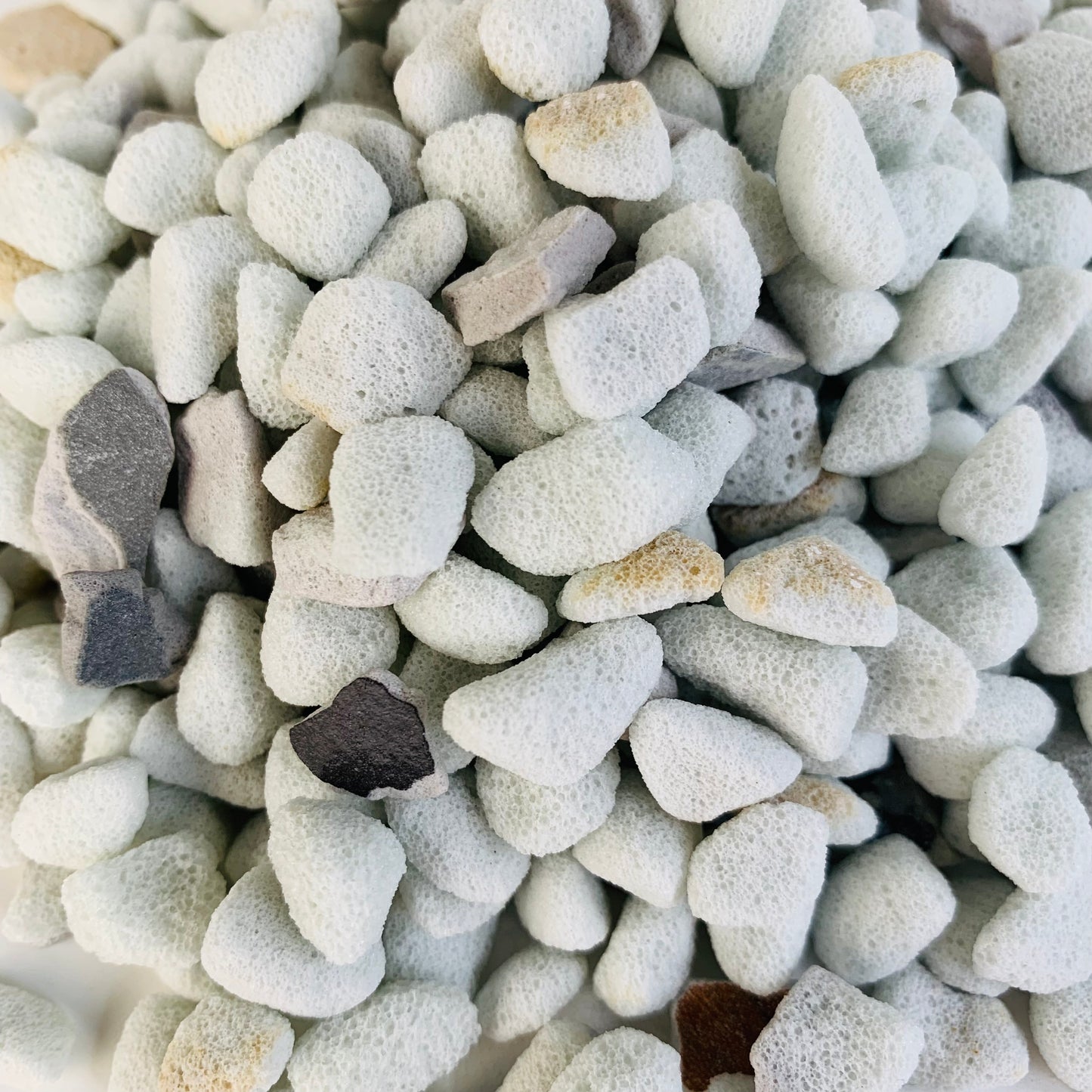 Ecopore Perlite - 6-10mm