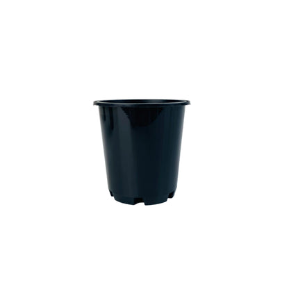 Black Plastic Pots - 70mm
