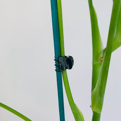 Plastic Orchid Clips