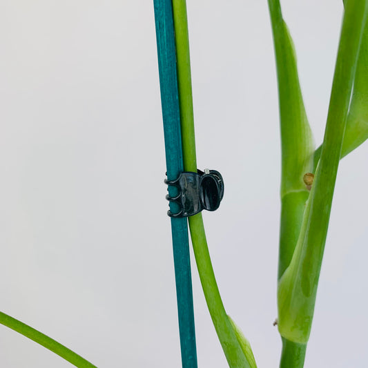 Plastic Orchid Clips - 14mm & 18mm