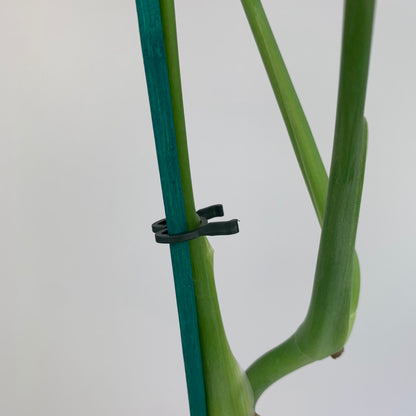 Plastic Plant Clip Rings