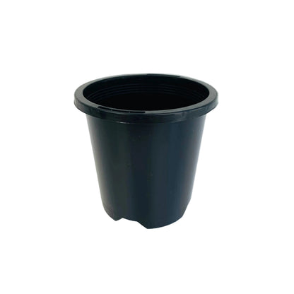 Standard Round Plastic Pots - 90mm - Black