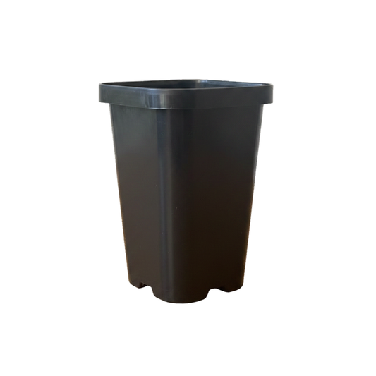 Square Plant Tube Pots - 68mm