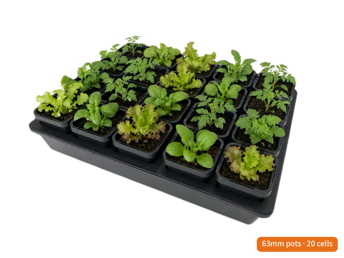 Hydro Tray Caddy planted with seedlings — lift-out caddy insert in propagation tray