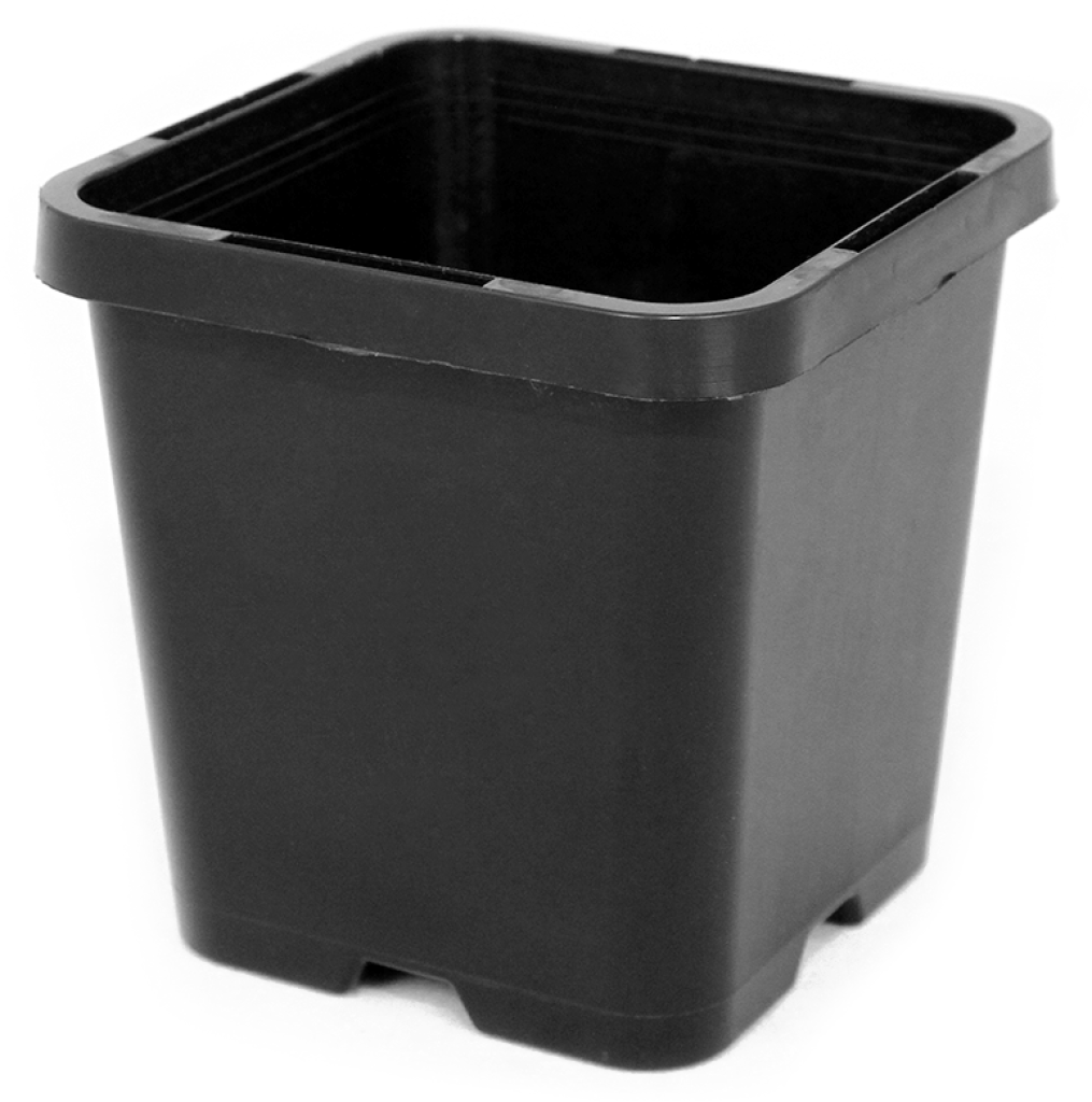 Square Squat Pots - 85mm