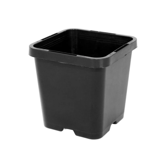 Square Squat Pots - 85mm