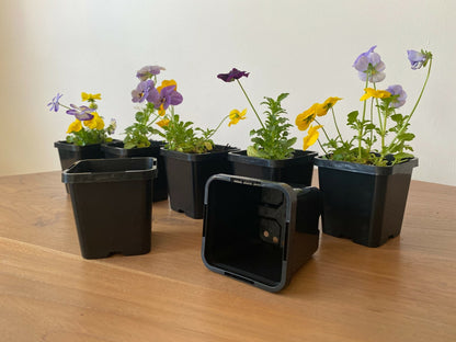 85mm square squat pots