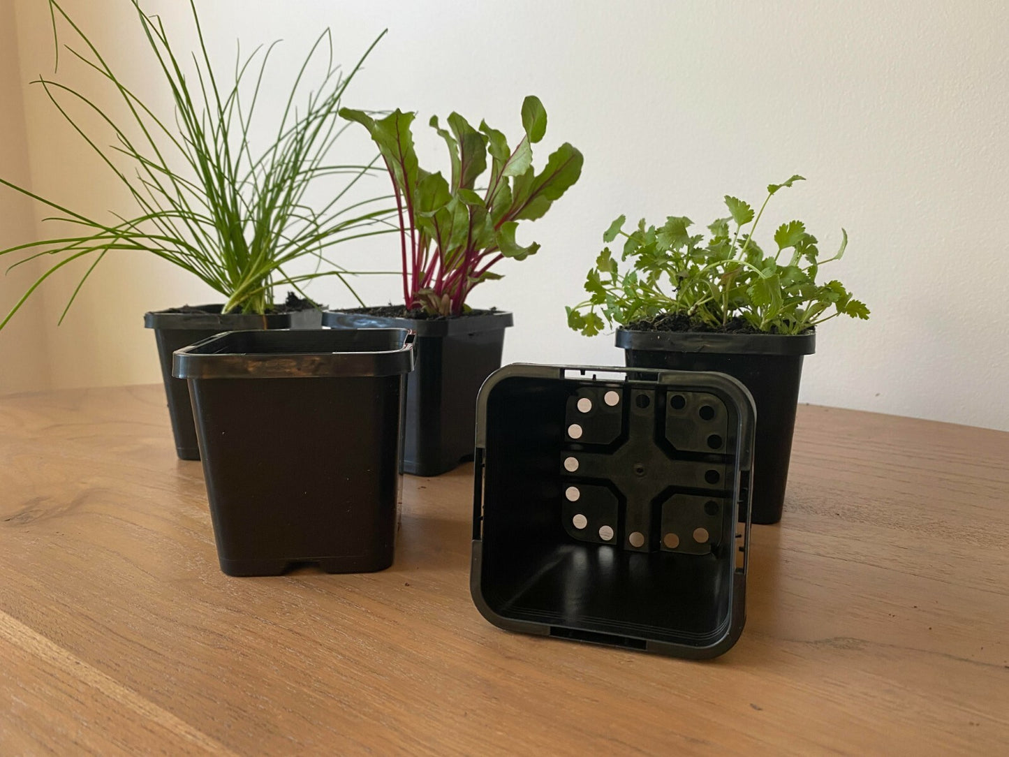 85mm square squat pot dimensions